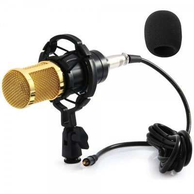 Микрофон конденсаторный студийный ZEEPIN BM 800 2406 фото