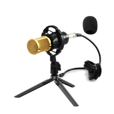 Мікрофон конденсаторний студійний зі штативом ZEEPIN BM 800 2465 фото