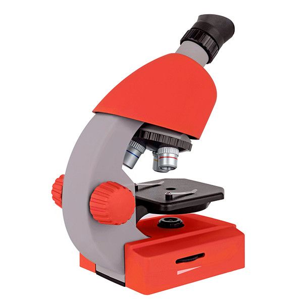 Микроскоп Bresser Junior 40x-640x Red с набором для опытов и адаптером для смартфона (8851300E8G000) 923031 фото