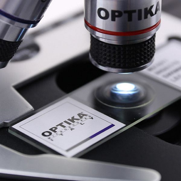 Микроскоп Optika B-69 40x-1000x Bino 927601 фото