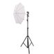 Комплект постійного студійного світла Prolight з парасольками 1187 фото 2